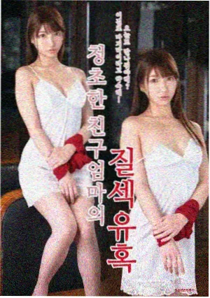 美剧鸟推荐